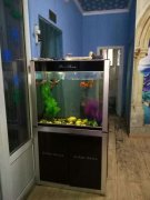 ʯ��ׯ��׻��գ�ʯ��ׯ���´����գ�ʯ��ׯ�Ҿ߻��տյ�����