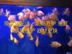 ���������� ������� �β�����ˮ�� ��ϴ��ײ�����ά�޵�