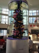 ���������ۣ����㲡����ϴ�������������������һ����