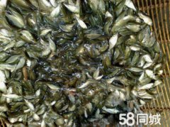 �������糡�������ۻ��������������������ݵ�����