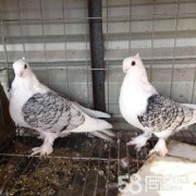 ��Ů�� ���� ���͸�